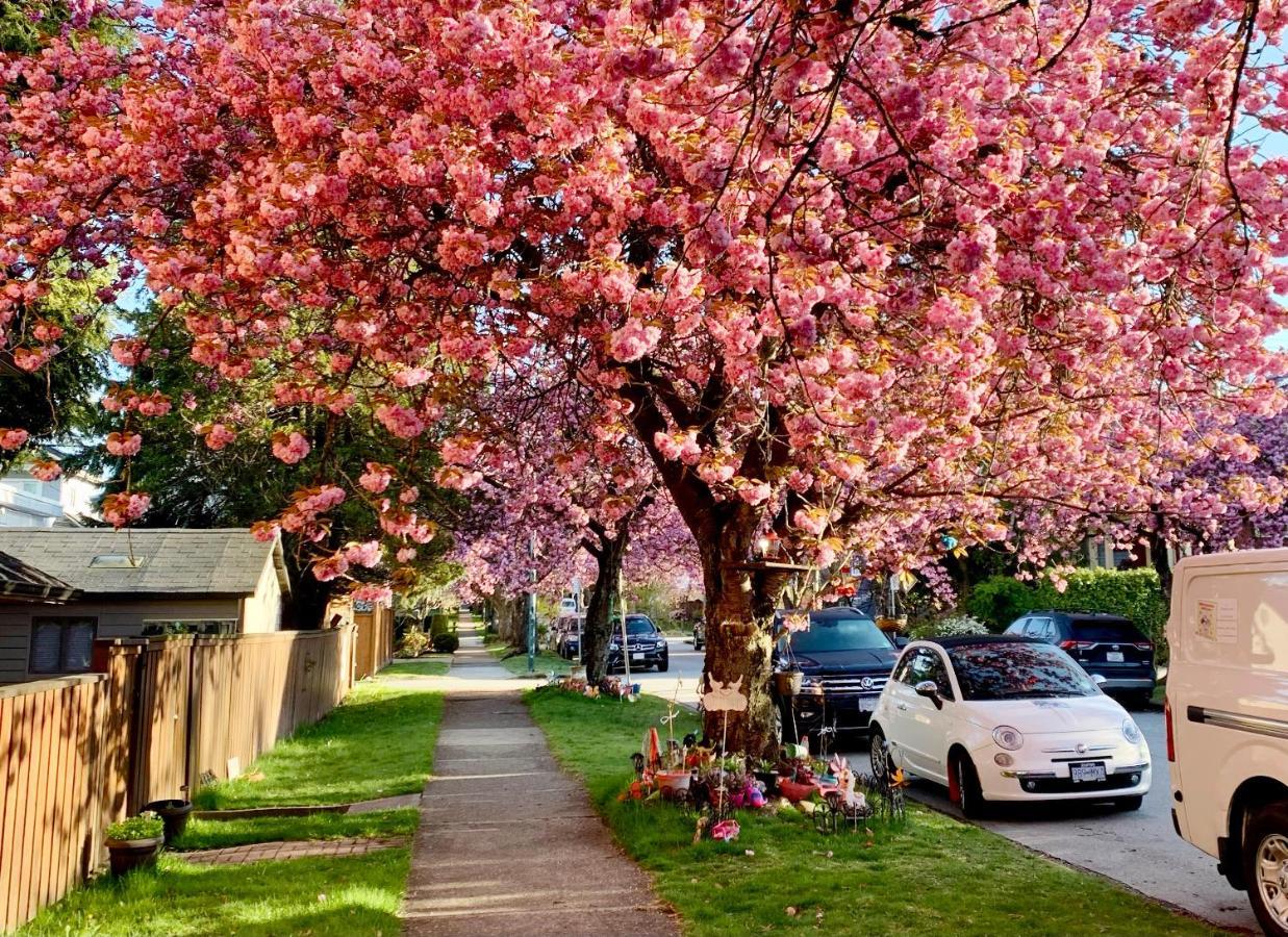 Private Guest Suite 10Mins To Downtown - King Bed - Bathtub - Free Parking Vancouver Eksteriør billede